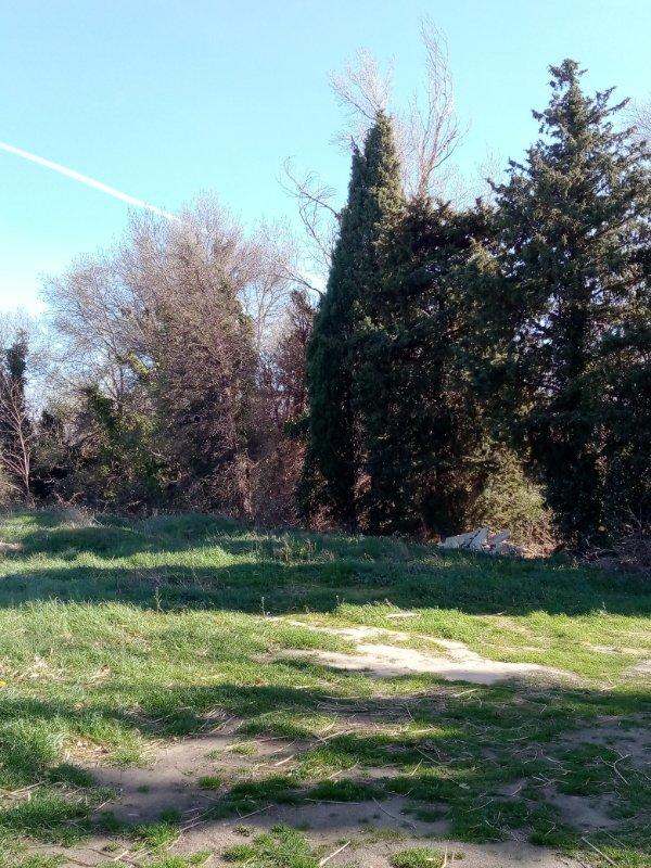 Terrain de loisirs - 1 600 m²