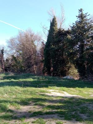 Terrain de loisirs - 1 600 m²