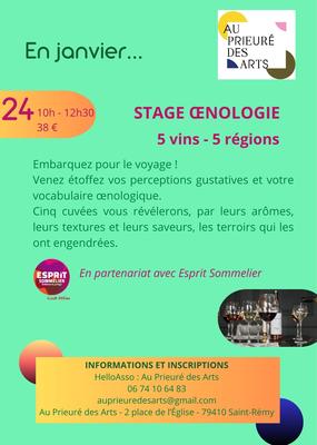 Stage Oenologie à Saint Rémy