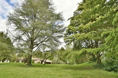 Maison - 267 m² - 10 pièces