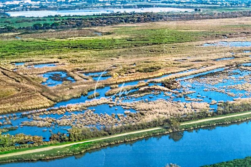 Propriété - 4 200 m² - 80 pièces