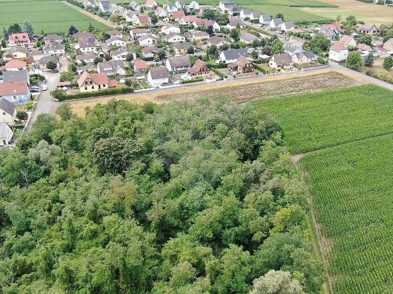 Terrain - 440 m²