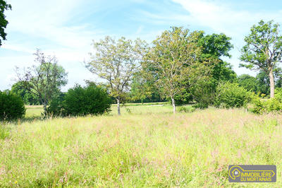 Maison - 148 m² - 6 pièces