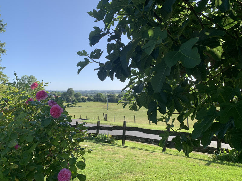 Maison - 185 m² - 7 pièces