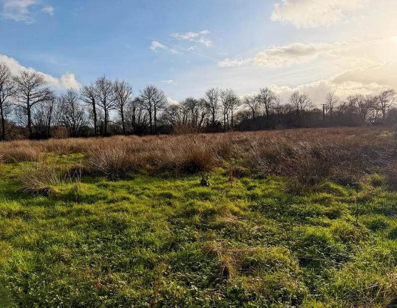 Maison - 250 m² - 6 pièces