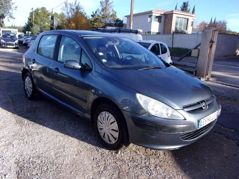 Peugeot 307 2,0 Hdi Xt 90cv