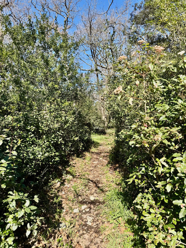 Maison - 265 m² - 7 pièces