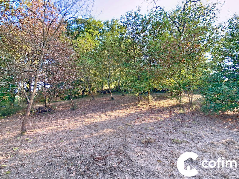 Maison ancienne - 50 m² - 3 pièces