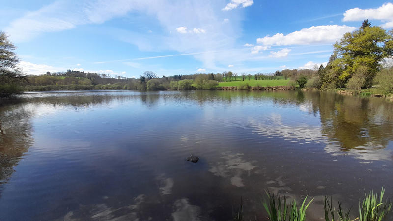 Terrain - 73 256 m²