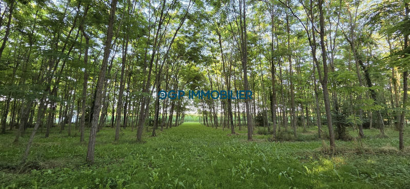 Maison ancienne - 262 m² - 11 pièces