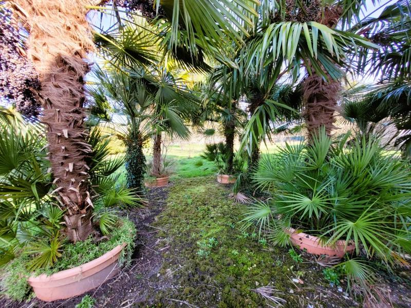 Viager - Maison - 170 m² - 6 pièces