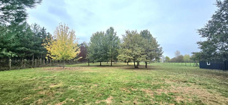 Maison - 200 m² - 5 pièces