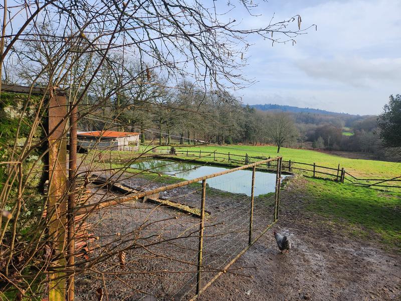 Propriété - 123 m² - 6 pièces