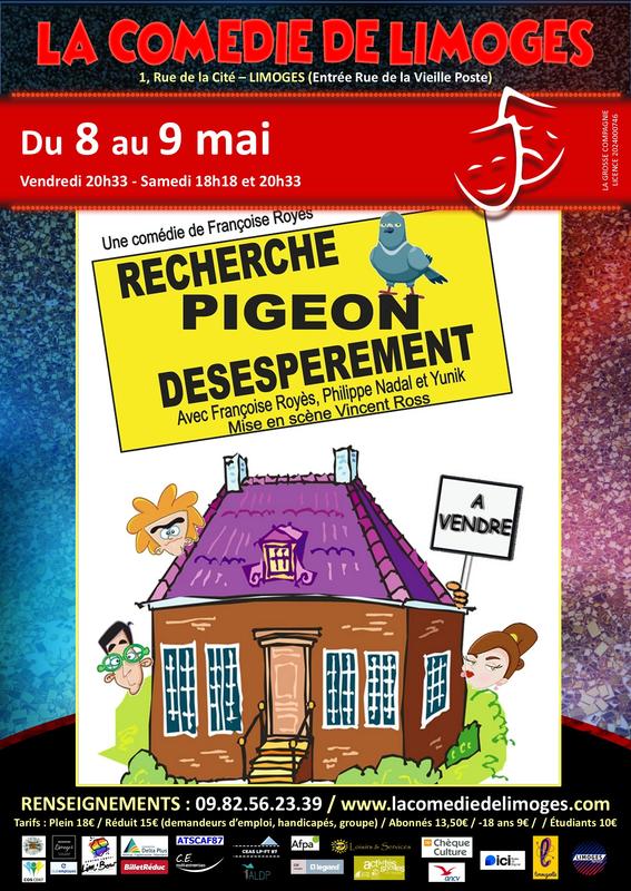 Recherche pigeon désespérément