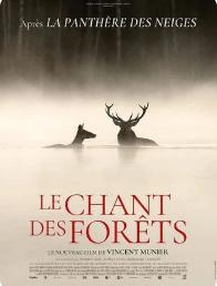 Cinéma Gourette : le Chant des forêts