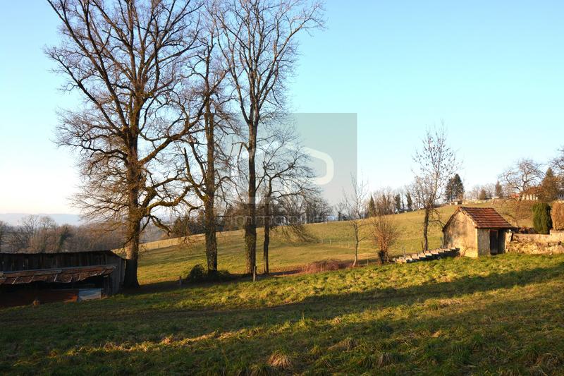 Appartement - 106 m² - 5 pièces