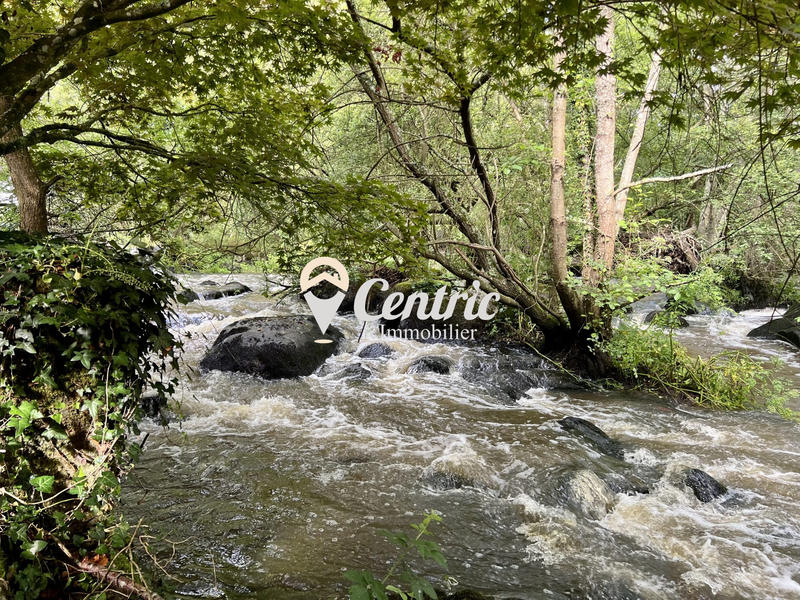 Maison ancienne - 315 m² - 13 pièces