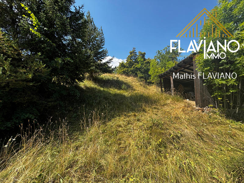 Maison - 804 m² - 12 pièces