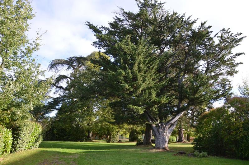 Manoir - 600 m² - 16 pièces