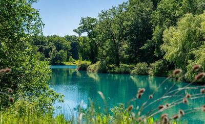 Manoir - 1 200 m² - 20 pièces