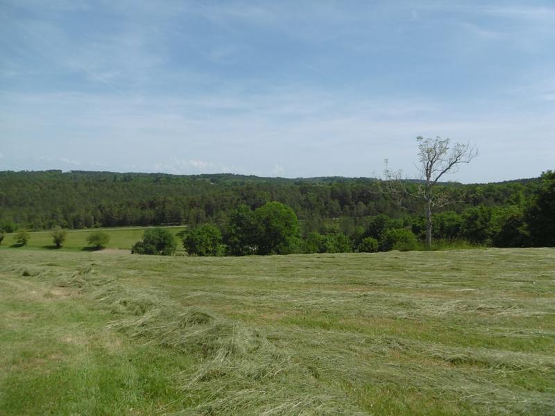 Château - 700 m² - 14 pièces