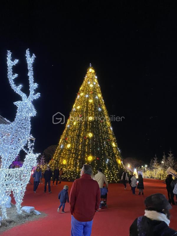 Appartement - 22 m² - 2 pièces