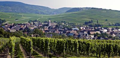 Domaine Marie et Cécile Albrecht-Bleger