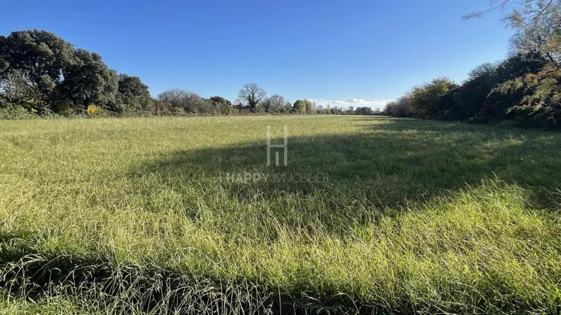 Propriété - 267 m² - 7 pièces