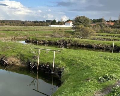 Terrain - 11 140 m²