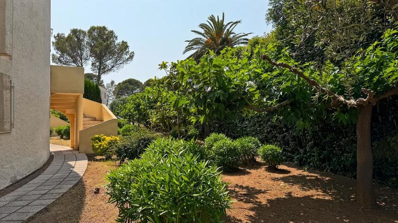 Appartement - 38 m² - 1 pièce