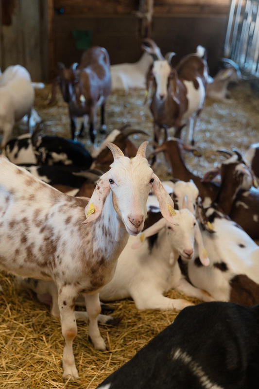 Pâques en famille à la Ferme de Clossy
