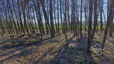 Maison - 175 m² - 8 pièces