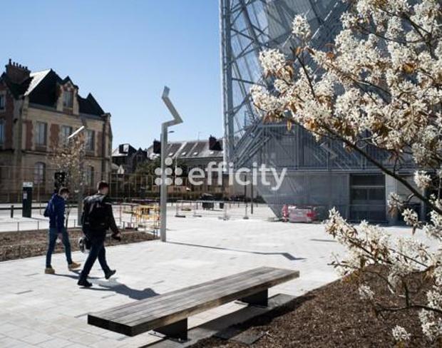 Appartement - 56 m² - 3 pièces