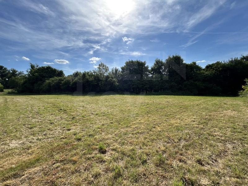 Maison - 216 m² - 6 pièces