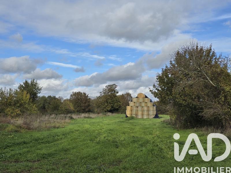 Maison de campagne - 240 m² - 8 pièces