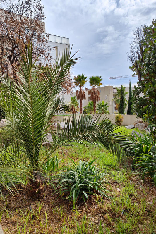 Appartement - 25 m² - 1 pièce