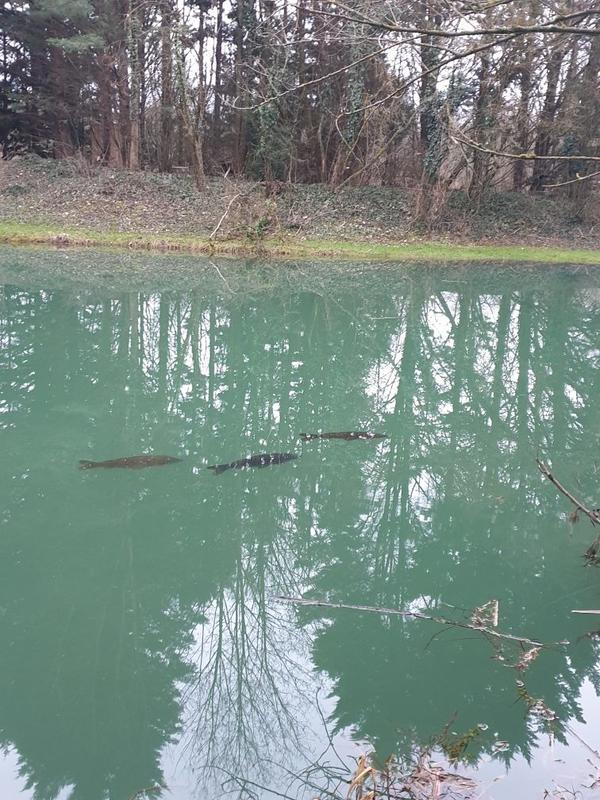 Terrain de loisirs - 3 200 m²