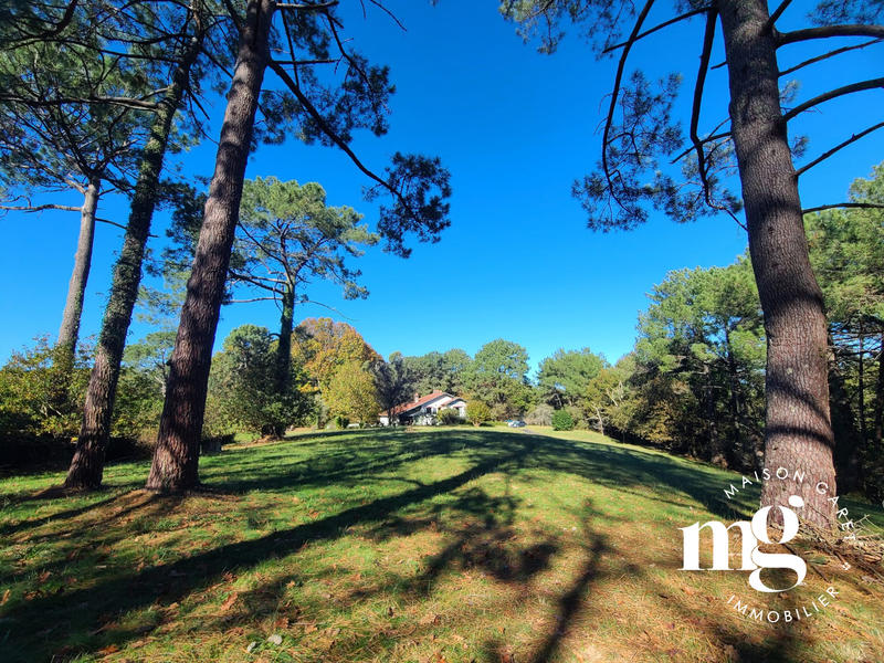 Maison ancienne - 250 m² - 9 pièces