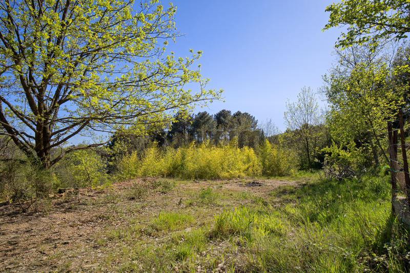 Terrain - 1 600 m²