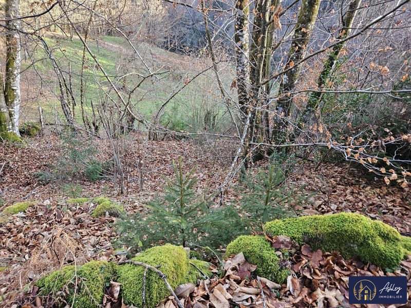 Maison ancienne - 30 m² - 1 pièce