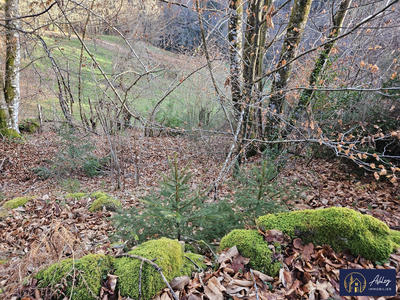 Maison ancienne - 30 m² - 1 pièce