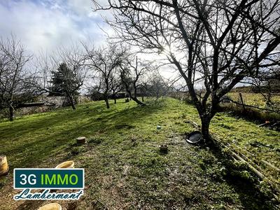 Terrain agricole - 4 750 m²