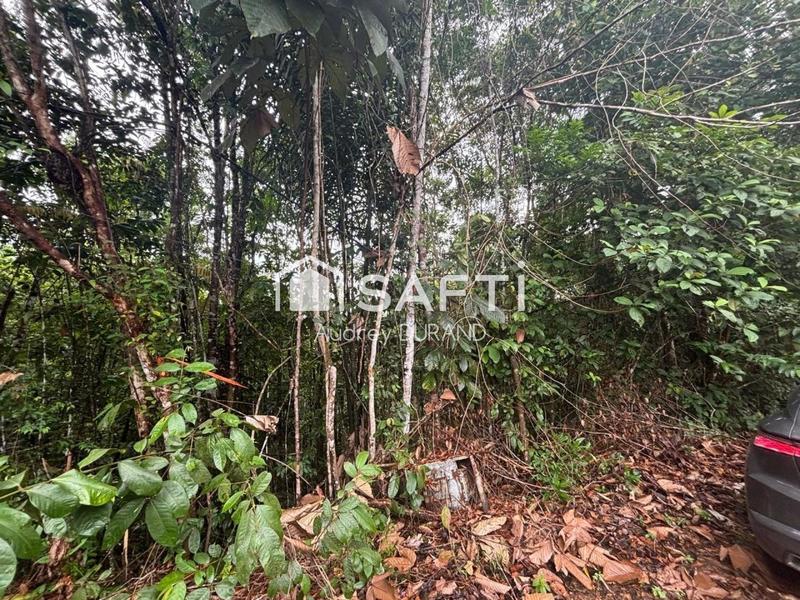 Terrain agricole - 21 855 m²