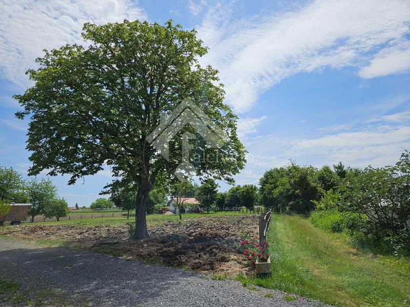 Maison - 58 m² - 2 pièces