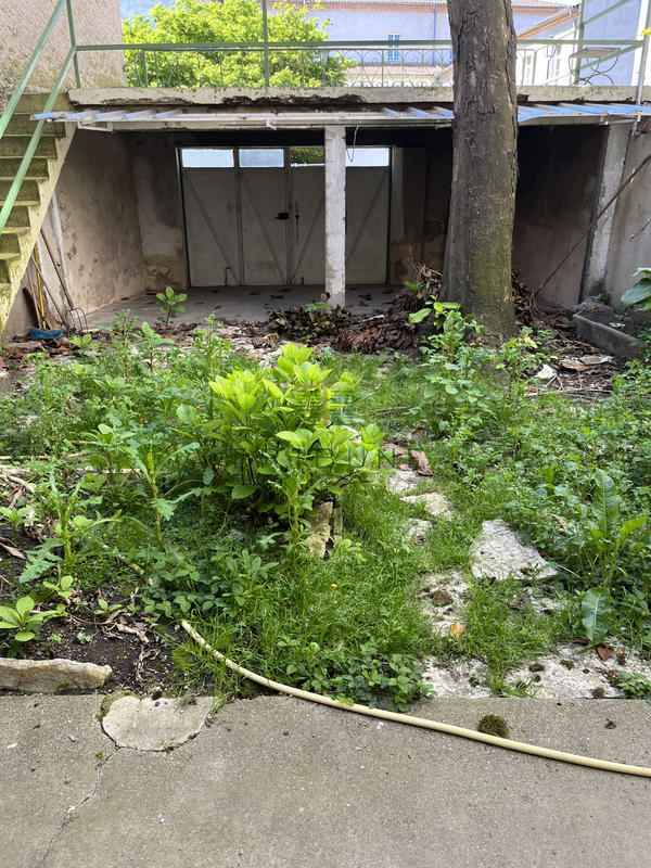 Immeuble - 278 m² - 12 pièces