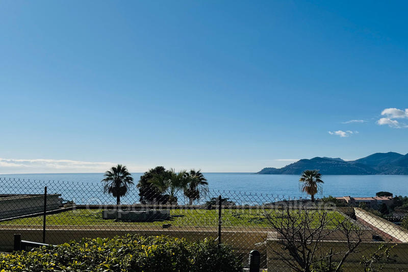 Appartement - 35 m² - 3 pièces