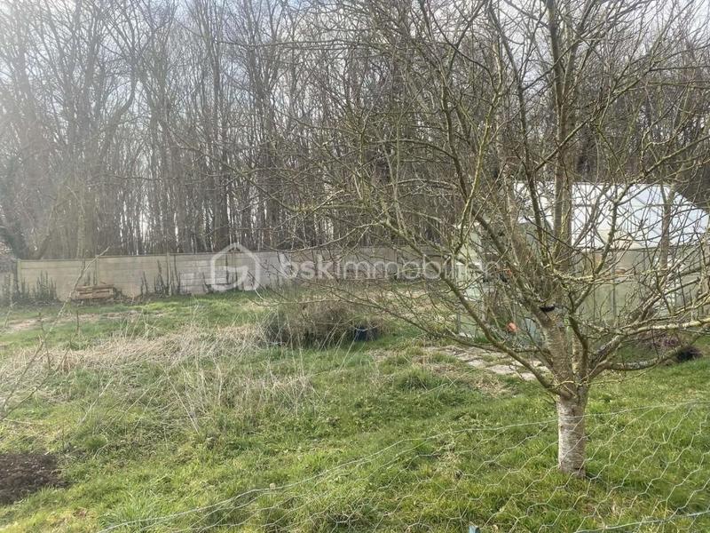 Maison ancienne - 205 m² - 9 pièces