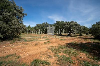 Terrain - 350 m²