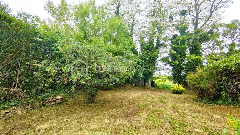 Maison de campagne - 150 m² - 5 pièces