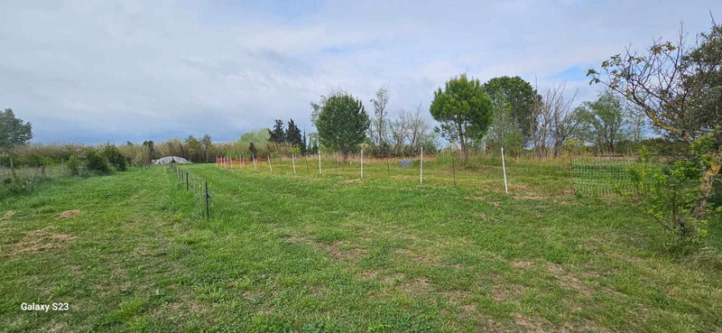 Maison - 303 m² - 9 pièces